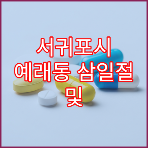 서귀포시 예래동 삼일절 및 대체공휴일 문 여는 약국 운영 정보