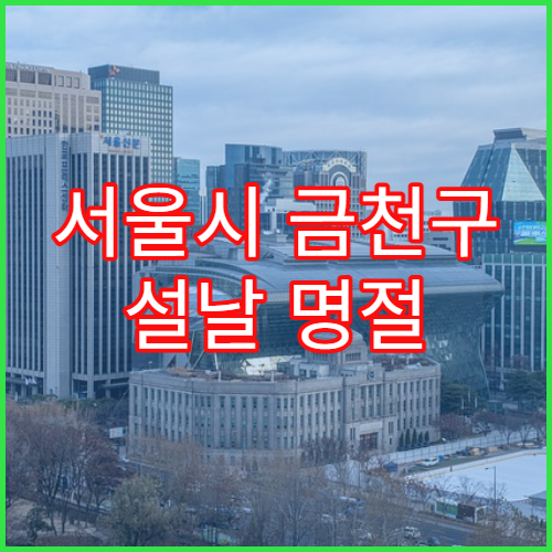 서울시 금천구 설날 명절 이비인후과 연휴 진료 코감기·인후통 상담 가능