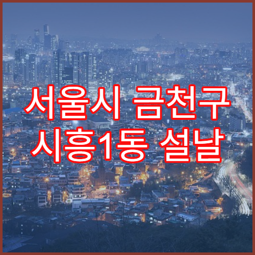 서울시 금천구 시흥1동 설날 명절 약국 연휴 영업 알레르기·기침약 상담 가능