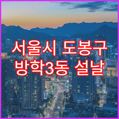 서울시 도봉구 방학3동 설날 명절 약국 연휴 영업 비타민·종합영양제 구매 가능