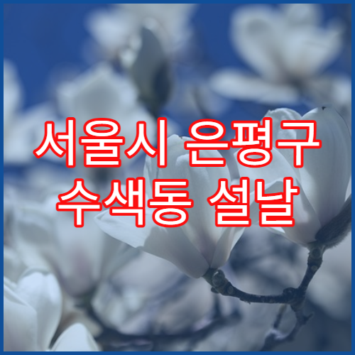 서울시 은평구 수색동 설날 영업하는 약국 리스트 안내 2026 최신 정보 포함