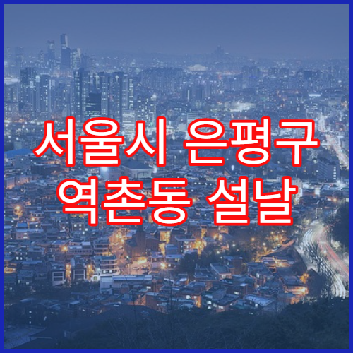 서울시 은평구 역촌동 설날 당직약국 휴일 운영 현황 야간 영업 포함