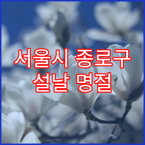 서울시 종로구 설날 명절 이비인후과 연휴 진료 코감기·인후통 상담 가능