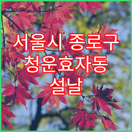 서울시 종로구 청운효자동 설날 명절 약국 연휴 영업 비타민·면역보조제 판매 가능