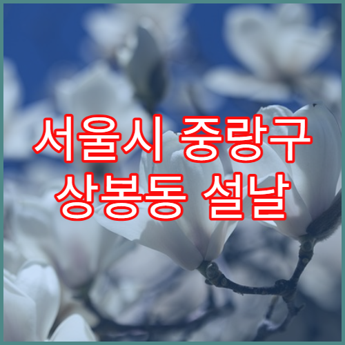 서울시 중랑구 상봉동 설날 명절 당번약국 휴일 오픈 정보 확인 감기 소화제 취급