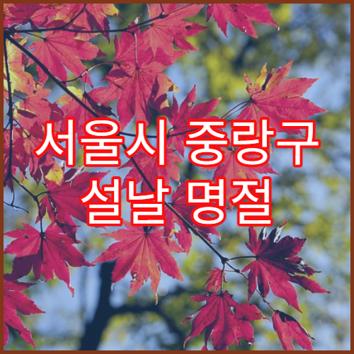 서울시 중랑구 설날 명절 피부과 연휴 진료 병원 여드름·아토피 피부 관리