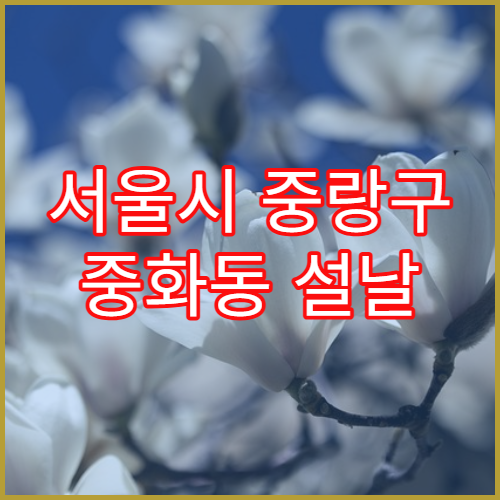 서울시 중랑구 중화동 설날 영업하는 약국 리스트 안내 최신 정보 포함