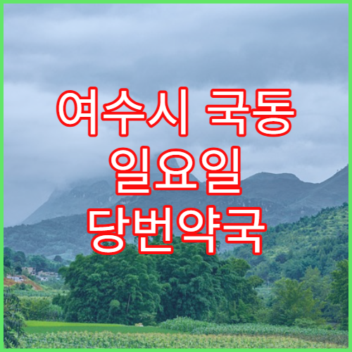 여수시 국동 일요일 당번약국 소화제·지사제 상담 가능