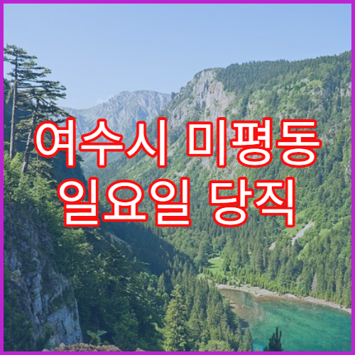 여수시 미평동 일요일 당직 약국 장염약·소화불량 약 상담 안내