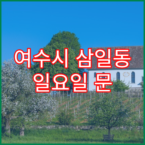 여수시 삼일동 일요일 문 여는 약국 상비약·비타민 판매