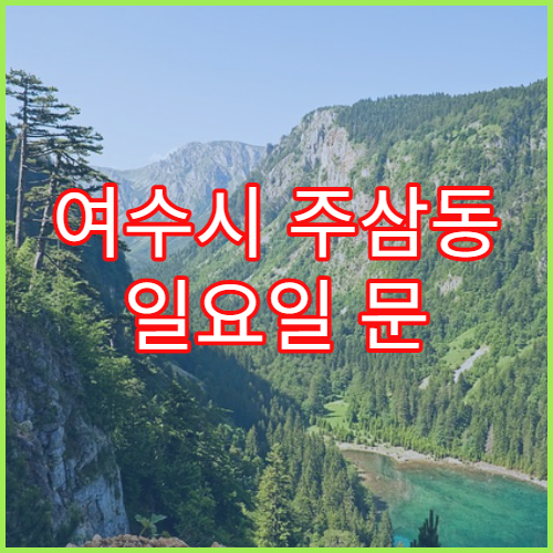 여수시 주삼동 일요일 문 여는 약국 항히스타민제·알레르기약 상담
