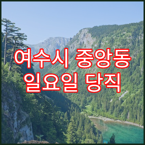 여수시 중앙동 일요일 당직 약국 위염약·속쓰림 약 판매
