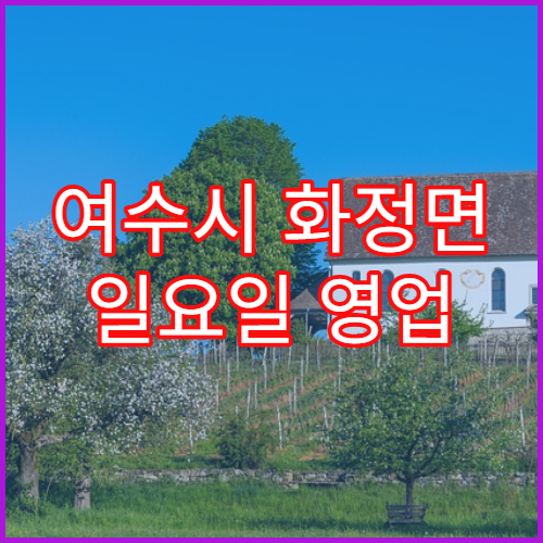 여수시 화정면 일요일 영업 약국 해열제·진통제 구매 가능
