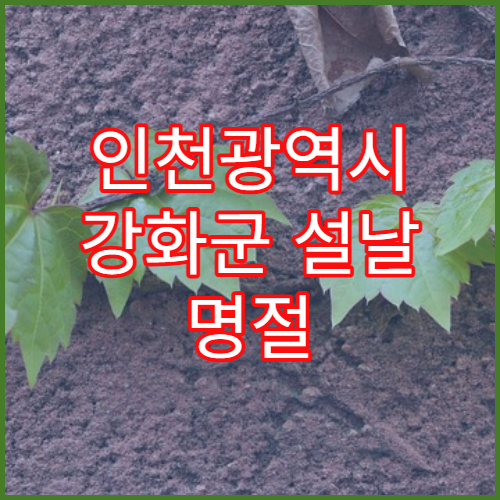 인천광역시 강화군 설날 명절 산부인과 연휴 진료 병원 생리통·질염 진료
