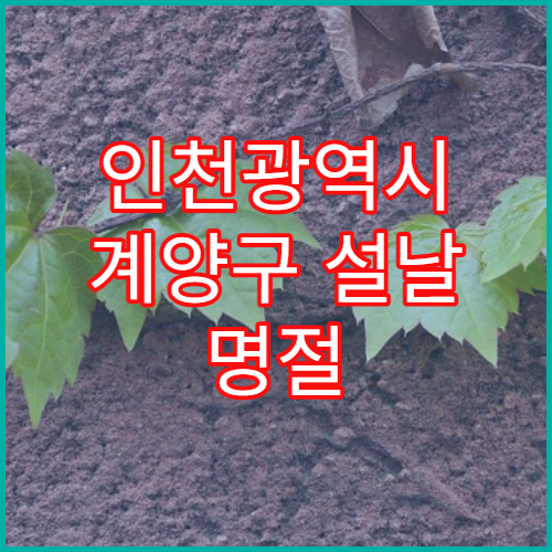 인천광역시 계양구 설날 명절 안과 연휴 진료 병원 충혈·눈통증 진료