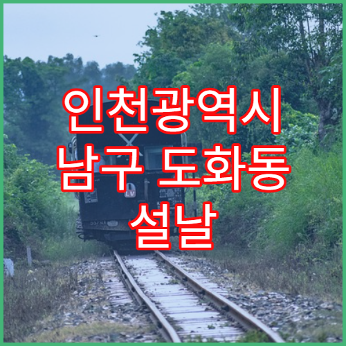 인천광역시 남구 도화동 설날 명절 당직약국 운영 정보 정리