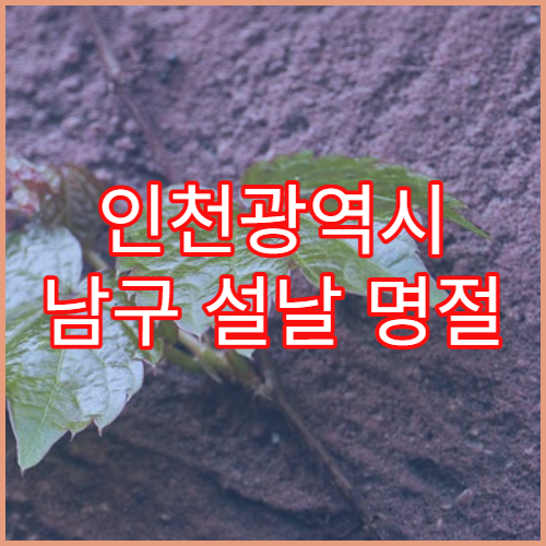 인천광역시 남구 설날 명절 정신건강의학과 연휴 진료 병원 불면·우울 상담