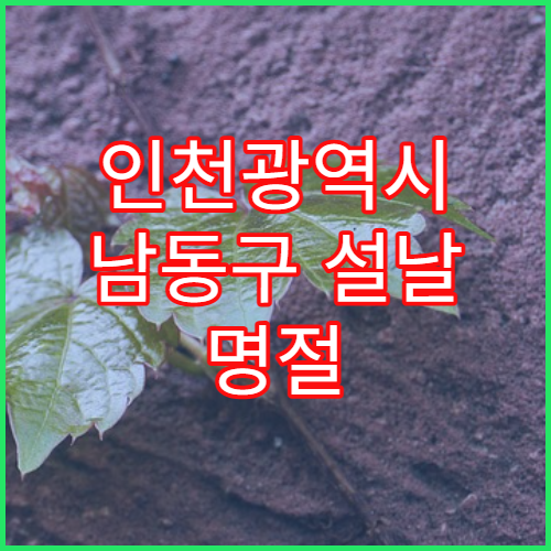 인천광역시 남동구 설날 명절 치과 연휴 진료 병원 치아 신경통·충전 가능