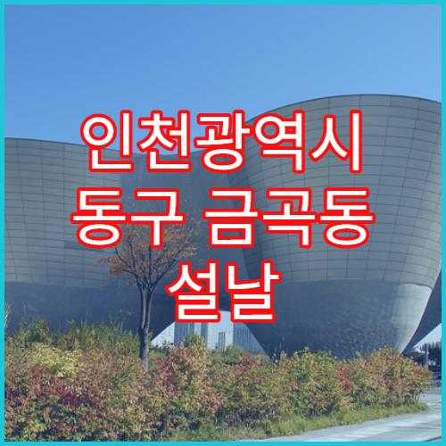 인천광역시 동구 금곡동 설날 명절 당직약국 정보 확인하기