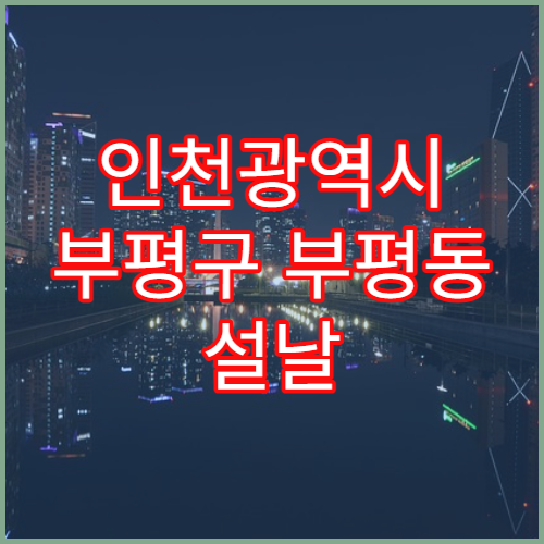 인천광역시 부평구 부평동 설날 연휴 휴일약국 당번 리스트