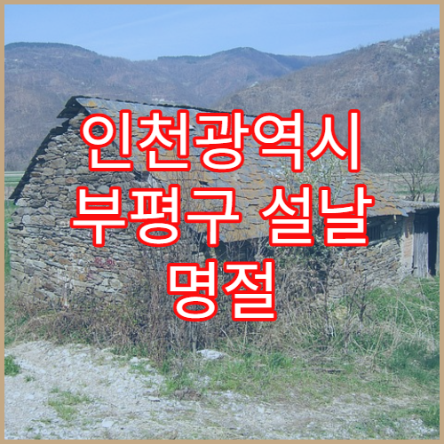 인천광역시 부평구 설날 명절 비뇨기과 연휴 진료 병원 요로감염·요통 진료