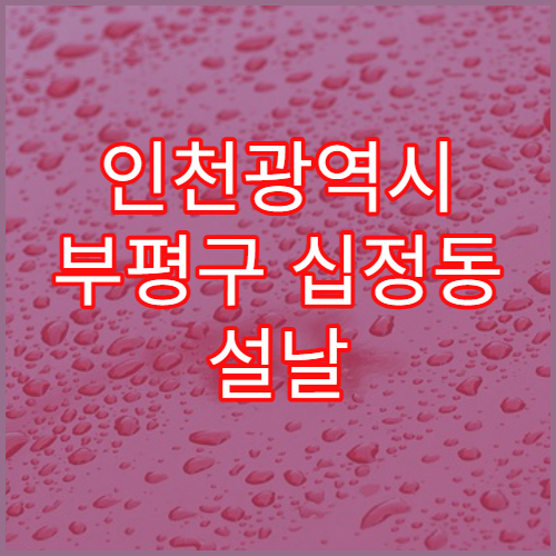 인천광역시 부평구 십정동 설날 명절 연휴 오픈 약국 정보