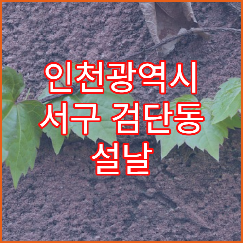 인천광역시 서구 검단동 설날 명절 당번약국 오픈 안내드립니다