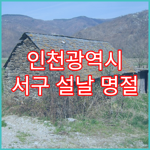 인천광역시 서구 설날 명절 산부인과 연휴 진료 병원 생리통·질염 진료