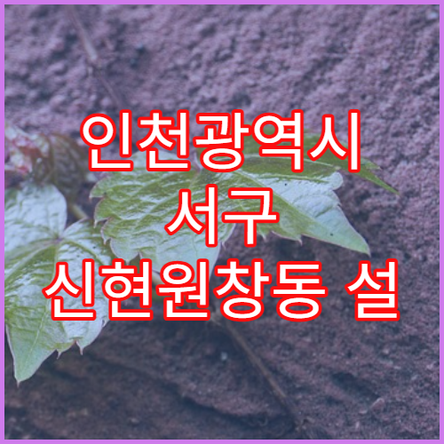 인천광역시 서구 신현원창동 설 연휴 당번약국 정보 한눈에