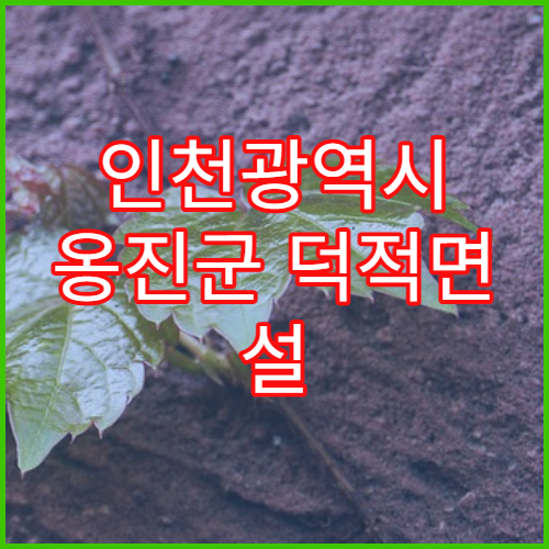 인천광역시 옹진군 덕적면 설 연휴 당직약국 운영시간 확인