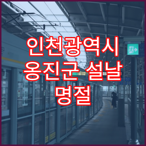 인천광역시 옹진군 설날 명절 산부인과 연휴 진료 병원 생리통·질염 진료