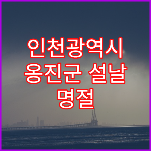 인천광역시 옹진군 설날 명절 이비인후과 연휴 진료 병원 목통증·귀막힘 상담