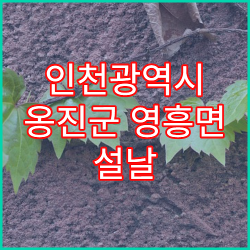 인천광역시 옹진군 영흥면 설날 연휴 당번약국 밤늦게 운영