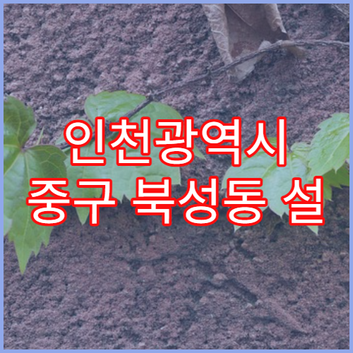 인천광역시 중구 북성동 설 명절 당번약국 오픈 시간 확인