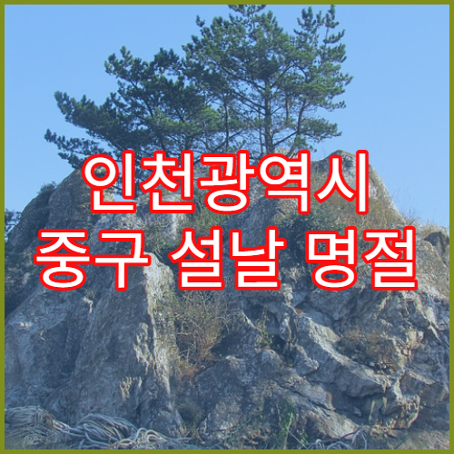 인천광역시 중구 설날 명절 산부인과 연휴 진료 병원 생리통·질염 진료