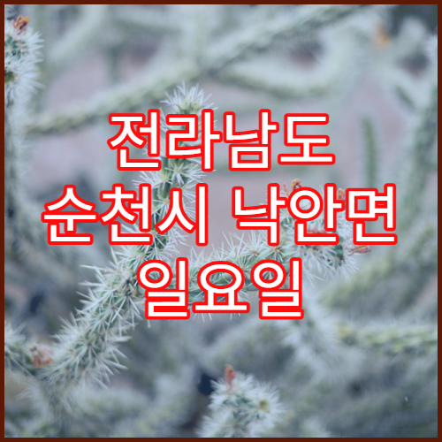 전라남도 순천시 낙안면 일요일 문 여는 약국 진통제·감기약 구매 가능