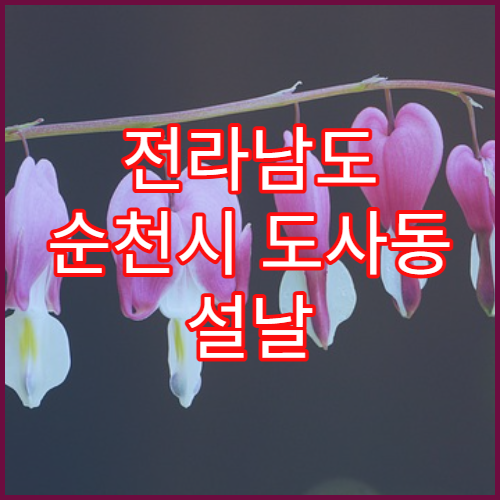 전라남도 순천시 도사동 설날 명절 연휴 당번 약국 도사초등학교·순천천변 야간 당직약국