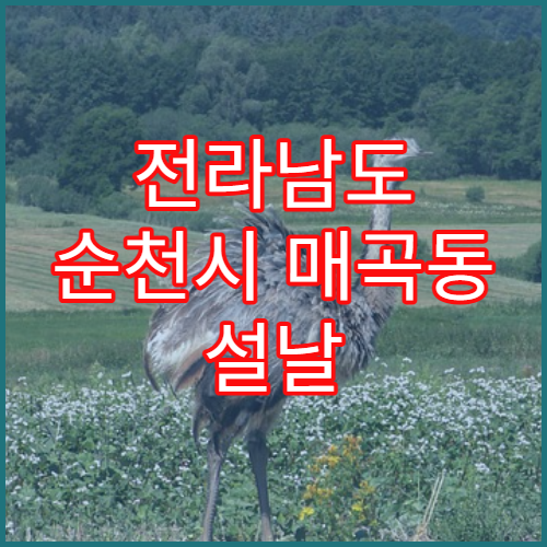 전라남도 순천시 매곡동 설날 명절 연휴 당번 약국 매곡지구·순천제일교회 근처 응급 처방 가능