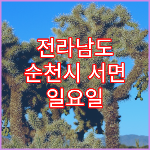 전라남도 순천시 서면 일요일 영업 약국 항생제·처방전 조제 안내