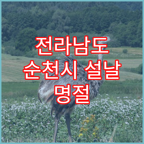 전라남도 순천시 설날 명절 응급의학과 연휴 진료 병원 외상·심장 응급 처치 가능