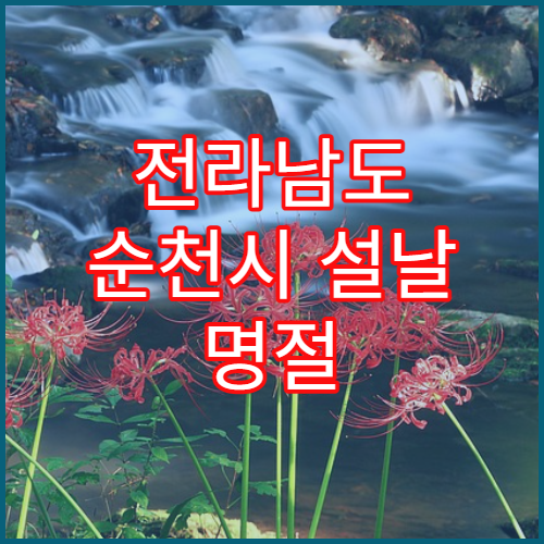 전라남도 순천시 설날 명절 이비인후과 연휴 진료 병원 코막힘·인후염 응급 상담 가능