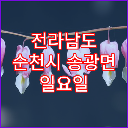 전라남도 순천시 송광면 일요일 문 여는 약국 상비약·타이레놀 판매