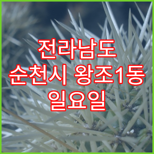 전라남도 순천시 왕조1동 일요일 당직 약국 어린이 해열제·감기약 판매