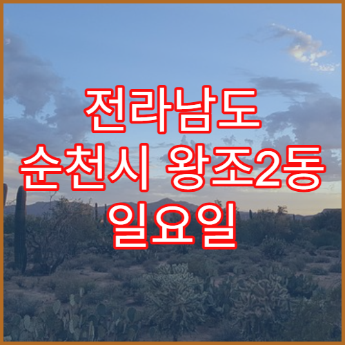 전라남도 순천시 왕조2동 일요일 영업 약국 소염진통제·파스 구매 가능