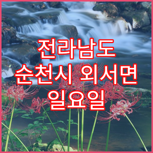 전라남도 순천시 외서면 일요일 영업 약국 비타민·영양제 구매 안내