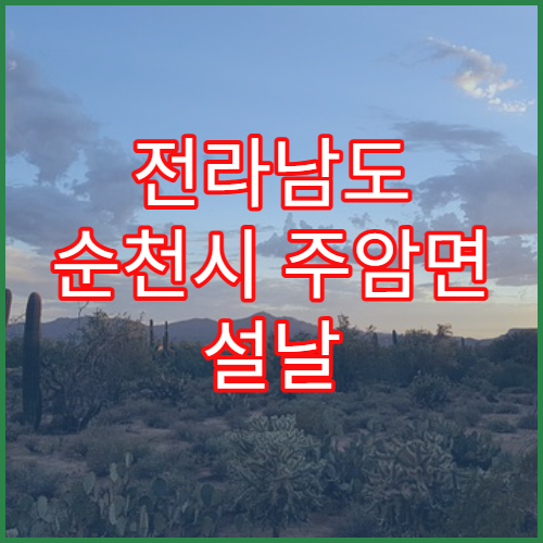 전라남도 순천시 주암면 설날 명절 연휴 당번 약국 주암면사무소·주암역 인근 휴일지킴이 약국