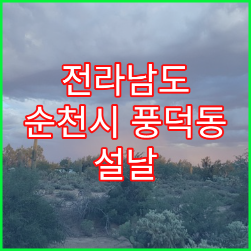 전라남도 순천시 풍덕동 설날 명절 연휴 당번 약국 풍덕초등학교·순천농수산시장 주변 24시간