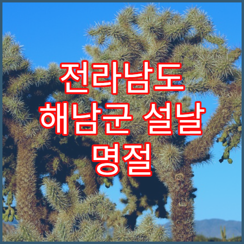 전라남도 해남군 설날 명절 내과 연휴 진료 병원 고혈압·당뇨 해남군민 응급 관리 가능
