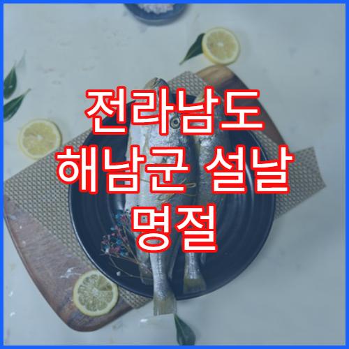 전라남도 해남군 설날 명절 이비인후과 연휴 진료 병원 코막힘·인후염 응급 상담 가능