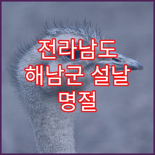 전라남도 해남군 설날 명절 피부과 연휴 진료 병원 아토피·여드름 해안가 피부질환 처방 가능